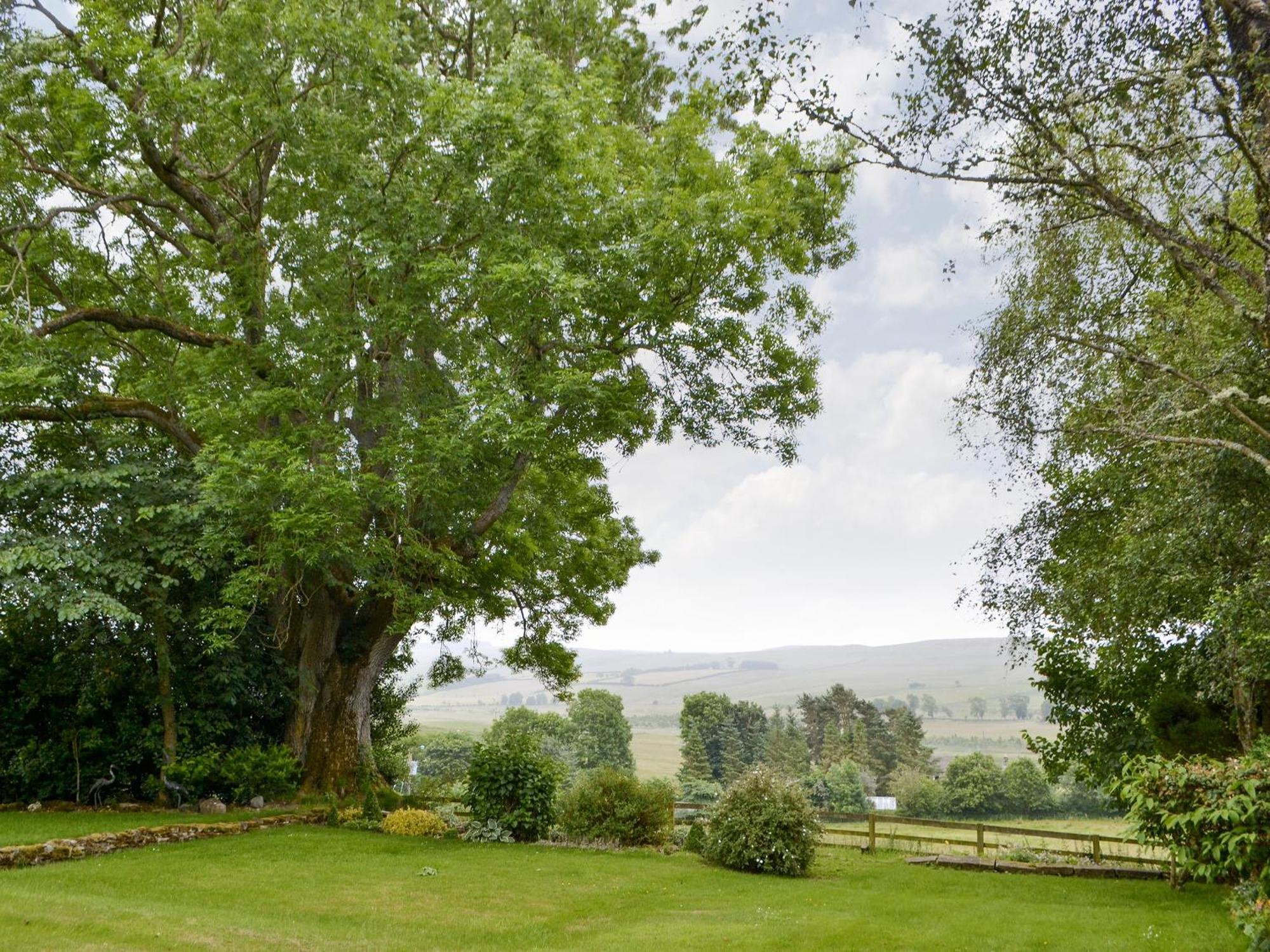 Broomstick Cottage Elsdon エクステリア 写真